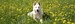 IMG_1561_5.jpg