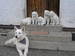 P2200029.JPG