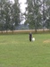 Zkouška ZOP 7/2010